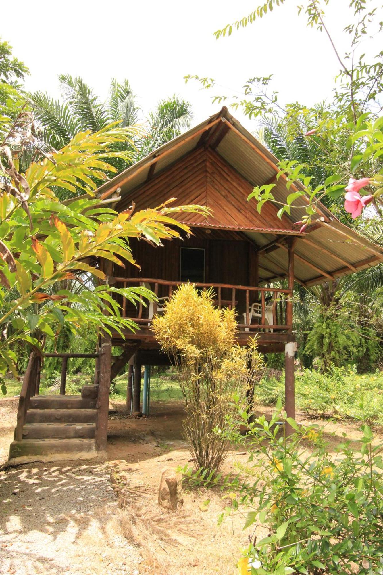 Khao Sok Palmview Resort Khao Sok National Park Ruang foto