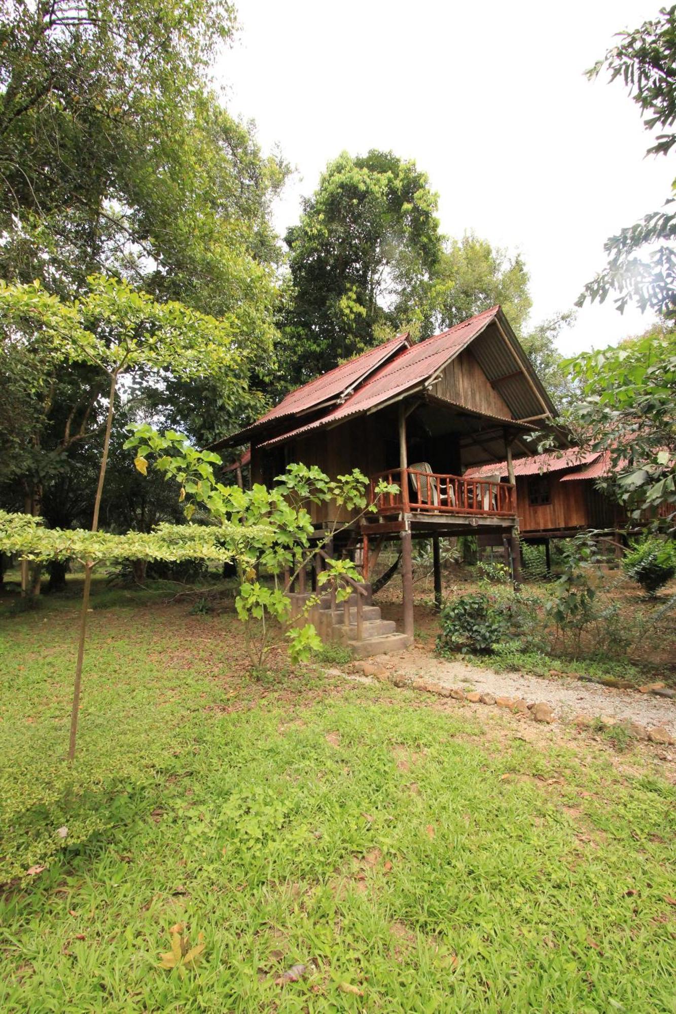 Khao Sok Palmview Resort Khao Sok National Park Ruang foto