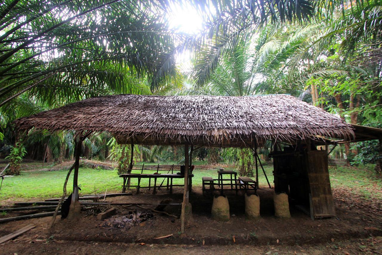 Khao Sok Palmview Resort Khao Sok National Park Bagian luar foto